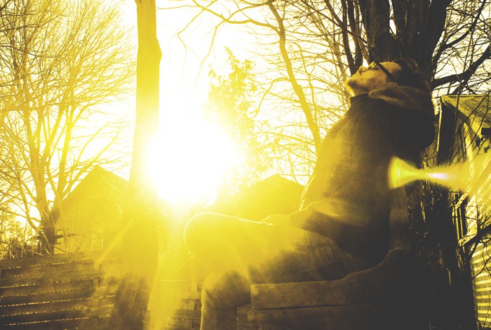 Exulting in the sunlight